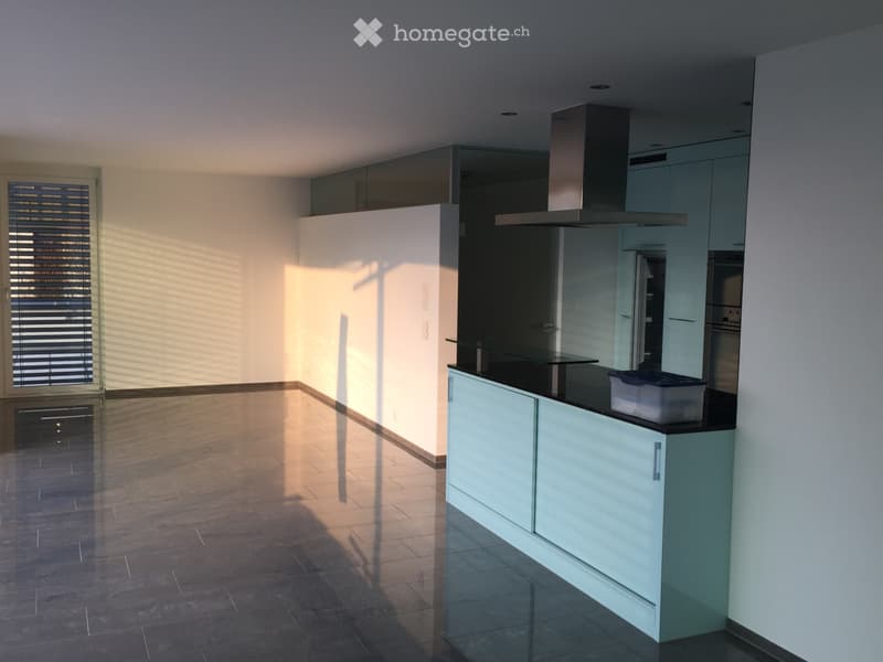 "Moderne 3 ZI ATTIKA 80m2 mit 100m2 Terrasse & TOP Aussicht" (2)