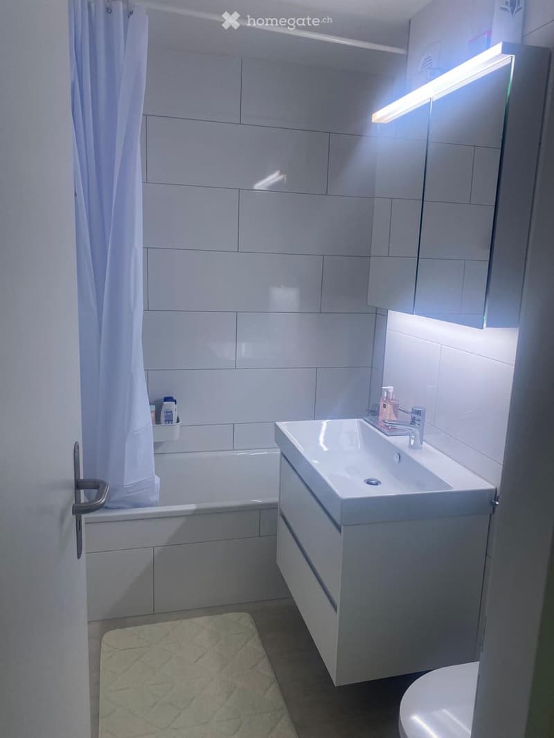 Freundliche 2.5 Zimmer Wohnung in ZH Seebach zu vermiete (2)