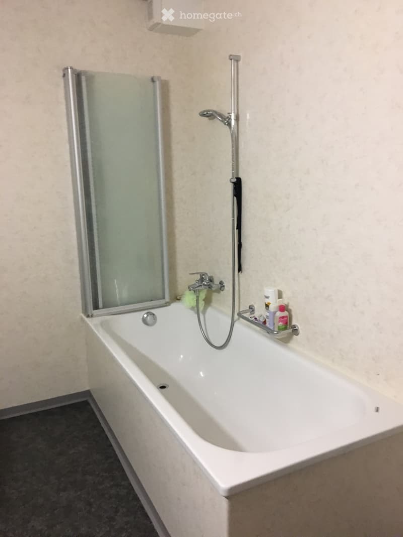 Zu vermieten grosse 2 einhalb Zimmer Wohnung ab 1. September (2)