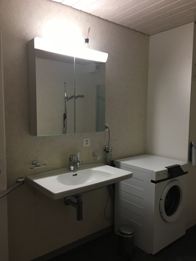 Zu vermieten grosse 2 einhalb Zimmer Wohnung ab 1. September (4)