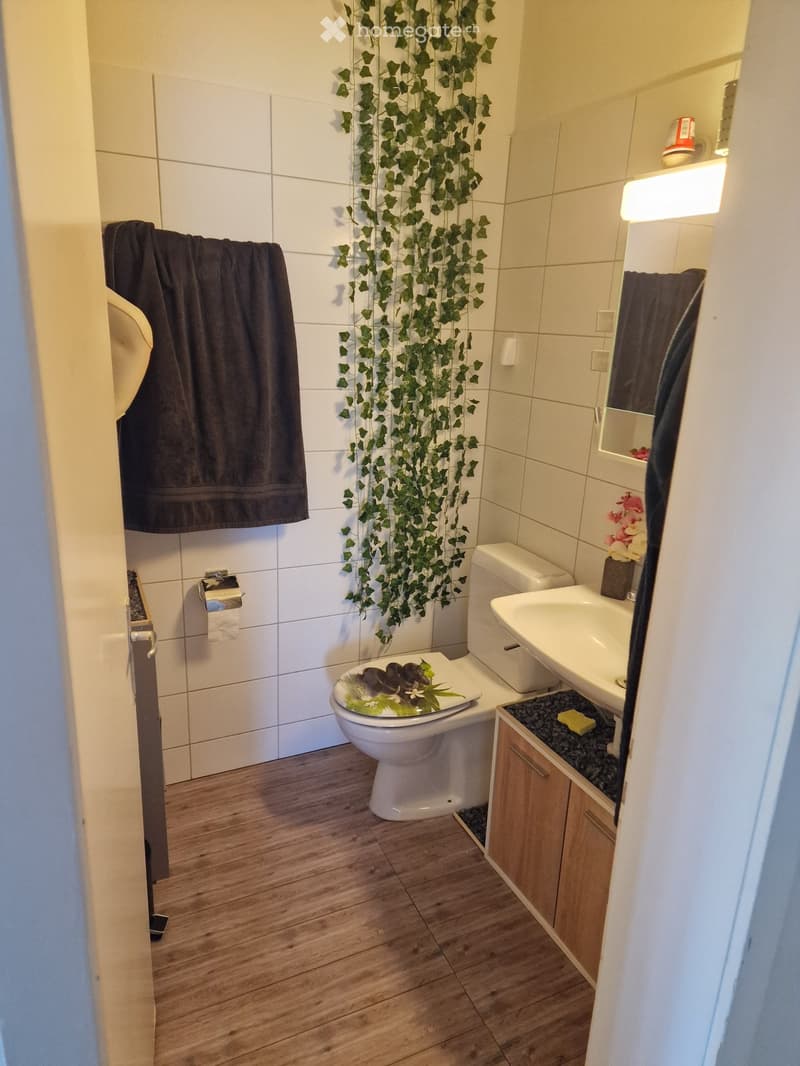 Schöne, grosse 3-Zimmer-Wohnung (2)