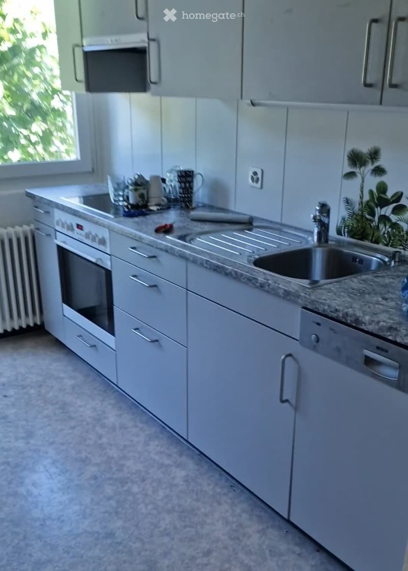Schöne, grosse 3-Zimmer-Wohnung (1)