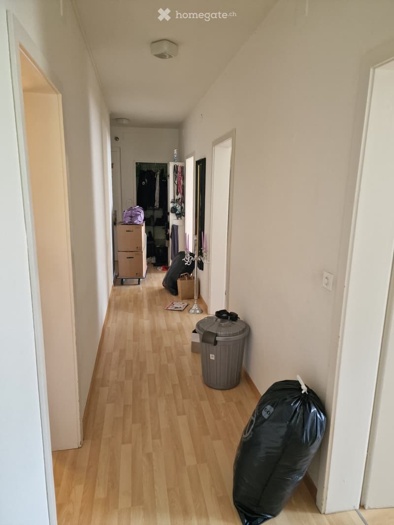 Schöne, grosse 3-Zimmer-Wohnung (5)