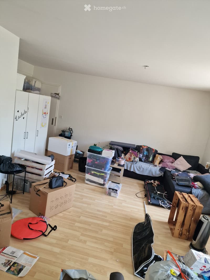 Schöne, grosse 3-Zimmer-Wohnung (4)