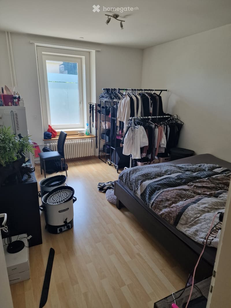 Schöne, grosse 3-Zimmer-Wohnung (3)
