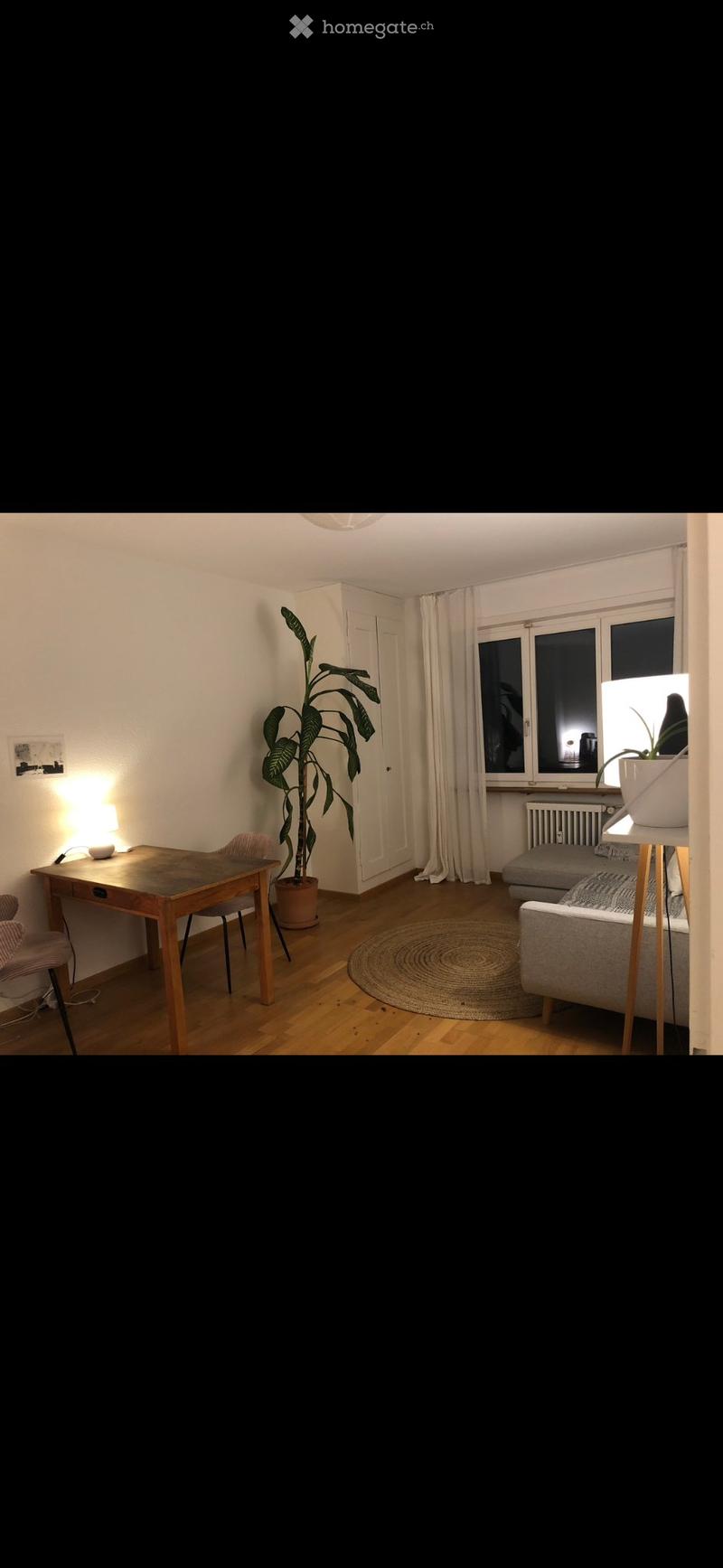 Wohnung im Breitenrain / Bern zur Untermiete (1)