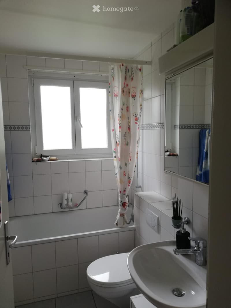 Schöne, ruhige 2.5 Zimmer-Dachwohnung mit Ausblick (8)