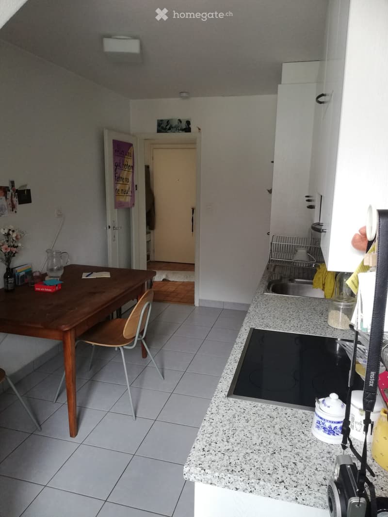 Schöne, ruhige 2.5 Zimmer-Dachwohnung mit Ausblick (2)