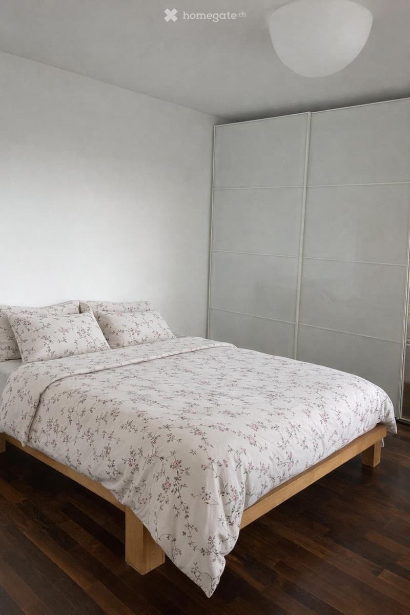 Rent a 2 ½ rooms apartment in zurich (3)