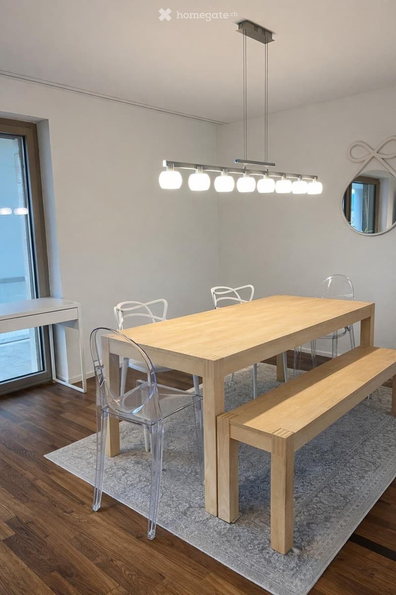 Rent a 2 ½ rooms apartment in zurich (5)