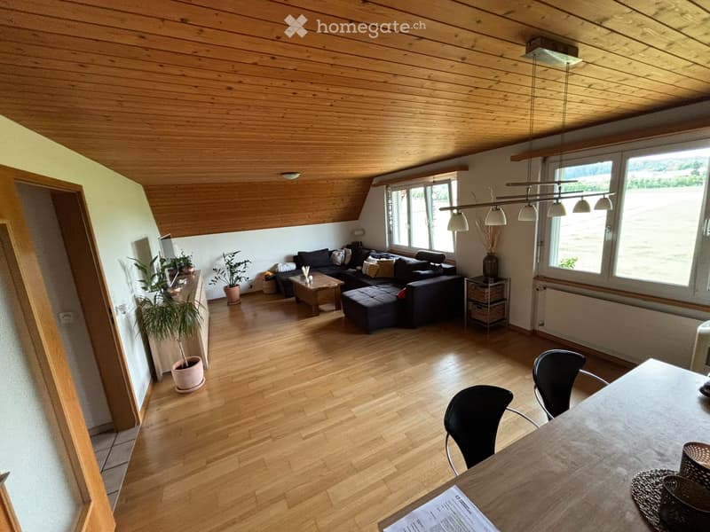 Grosse Wohnung mit Garten (3)