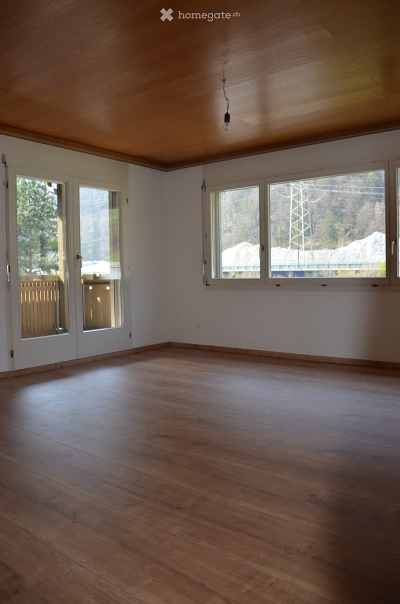 Helle 2 1/2-Zimmer-Wohnung in ruhiger Lage zu vermieten (1)