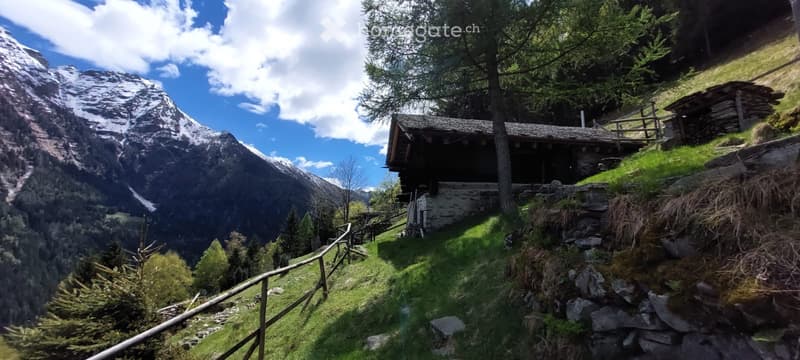 Denkmalgeschützte Rustico auf Alp Cavaionc / Calancatal (4)