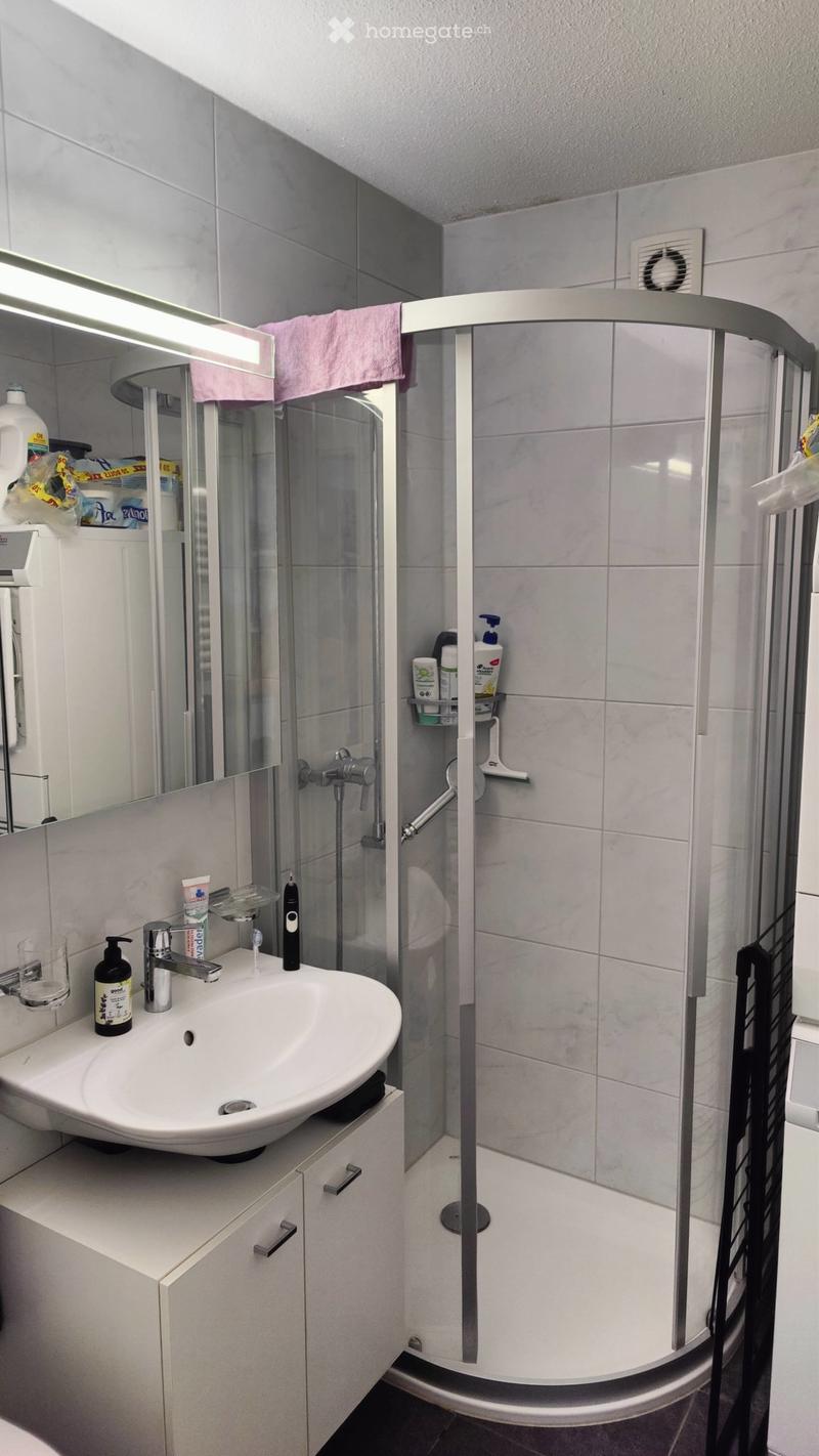 Studio Apartment in Adliswil (4)