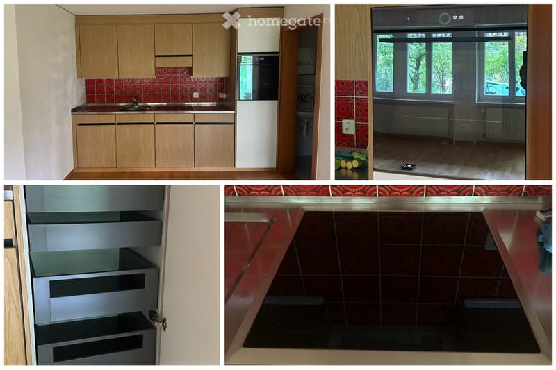 Grosszügige 1-Zimmer Ferienwohnung / Studio im Diemtigtal (4)