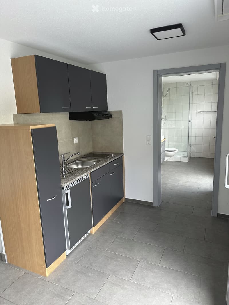 Studio-Apartment in Schötz ab Oktober 2026 verfügbar (4)