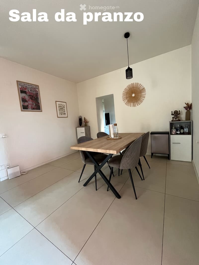 Appartamento Massagno 3.5 (5)