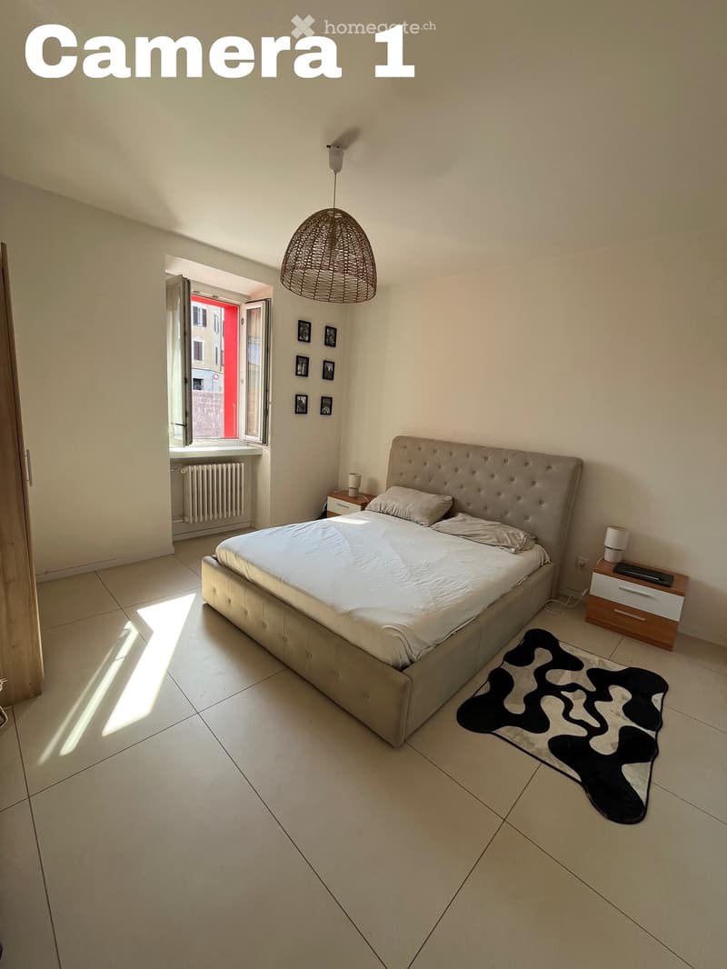 Appartamento Massagno 3.5 (2)