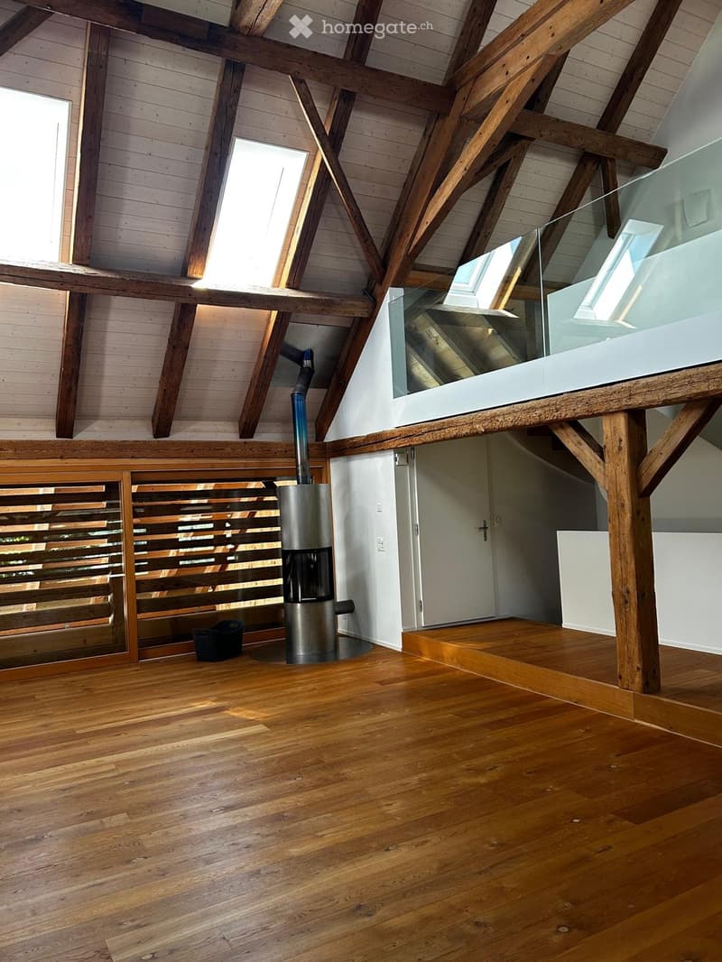 3,5 Zimmer-Wohnung mit Galerie zu vermieten (1)