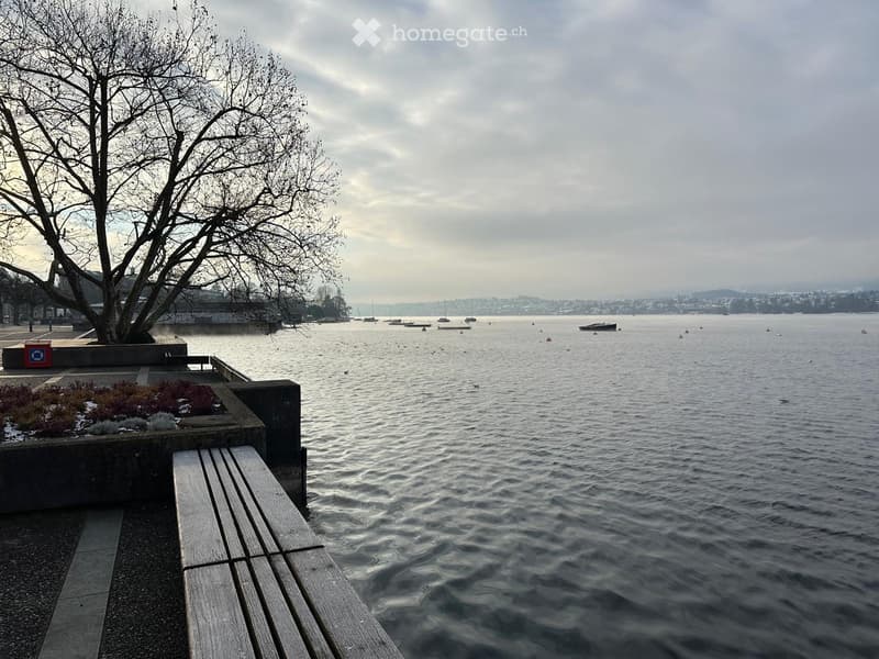 Wo Zürich am schönsten ist  möblierte Wohnung beim Bellevue (9)