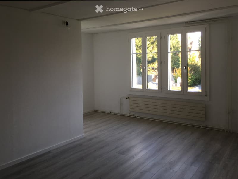 Helle 5 1/2-Zimmer-Wohnung mit grossem Garten (5)