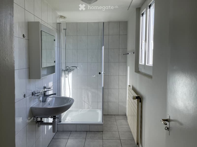 Helle 5 1/2-Zimmer-Wohnung mit grossem Garten (4)