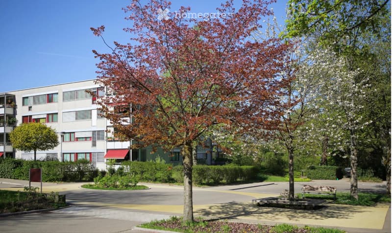 Schöne 3.5 Zimmer-Wohnung in Zürich zu vermieten (2)