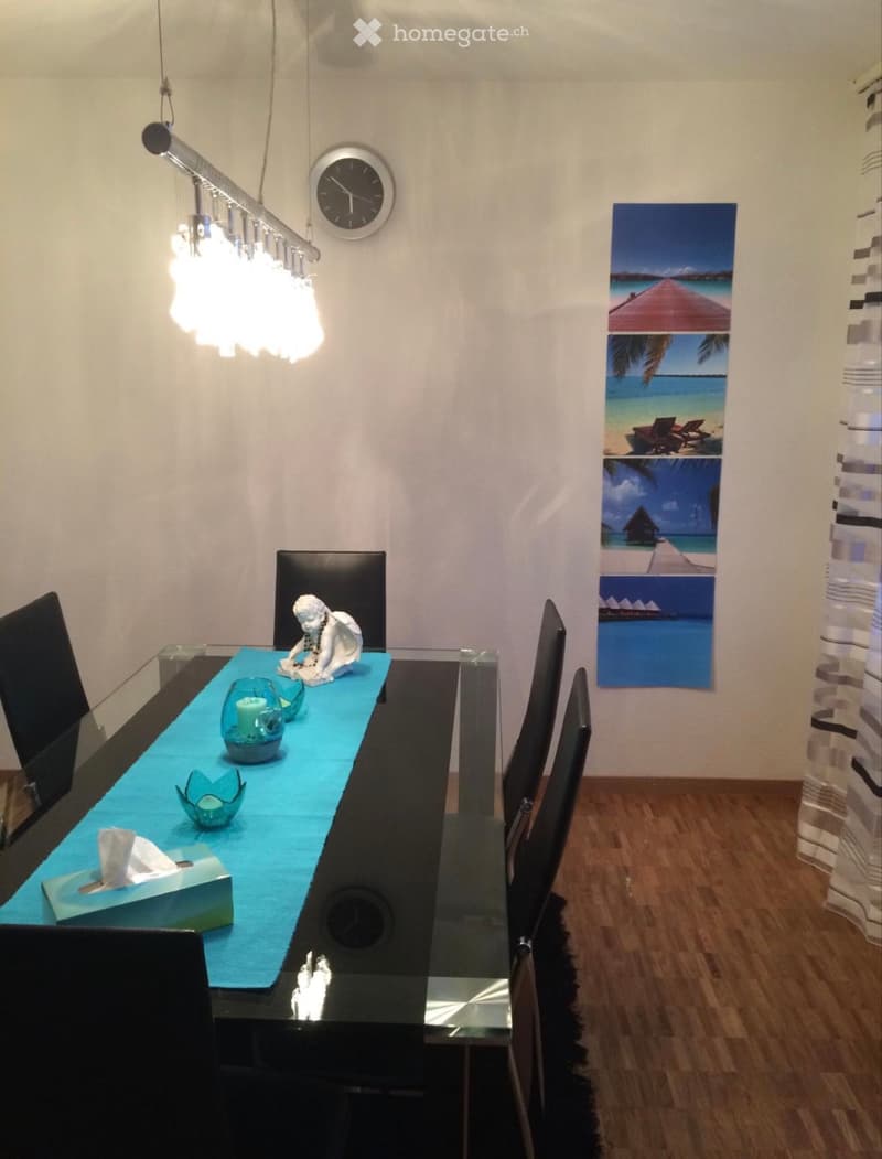 Schöne 3.5 Zimmer-Wohnung in Zürich zu vermieten (3)