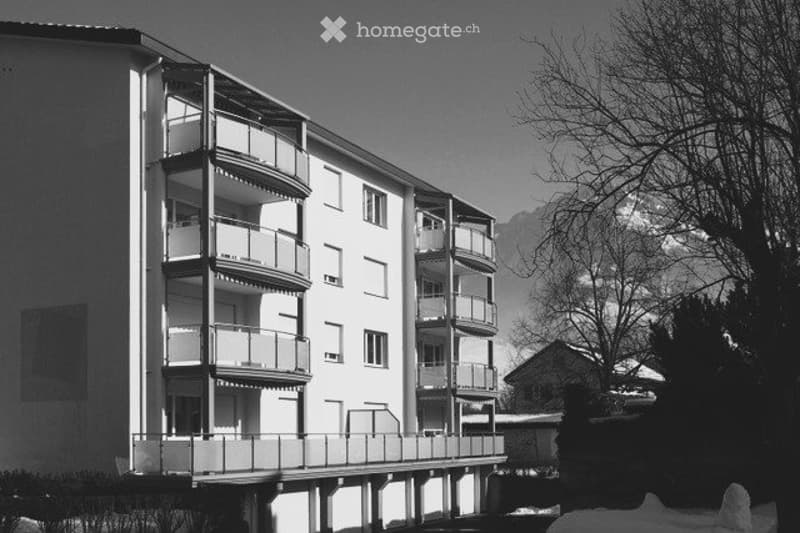 Dreieinhalbzimmerwohnung nähe OeV (1)