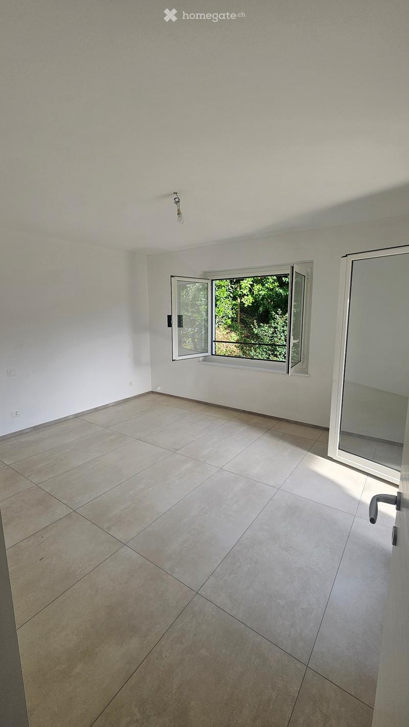 Appartamento 3.5 locali + mansarda (4)