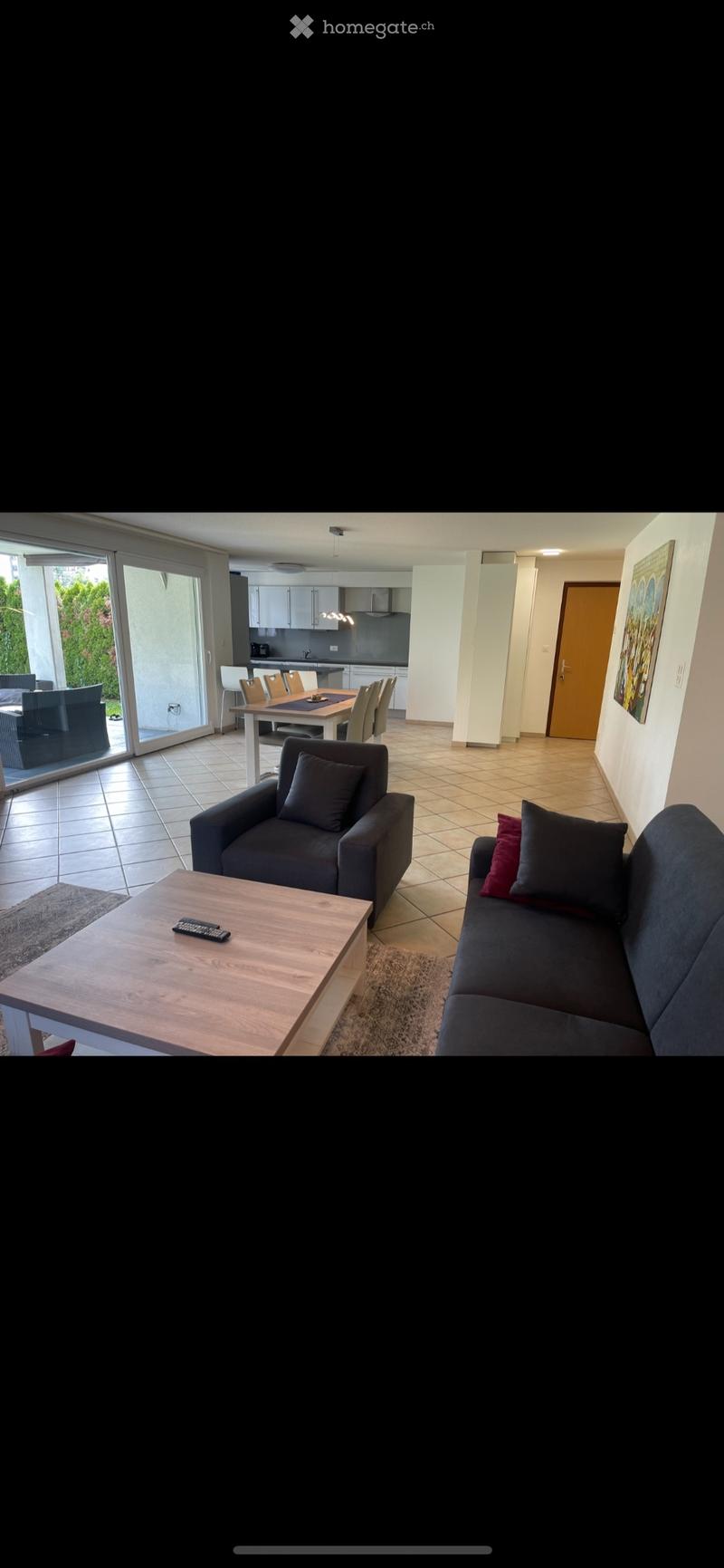 Magnifique Appartement 4,5 Pièces (3)