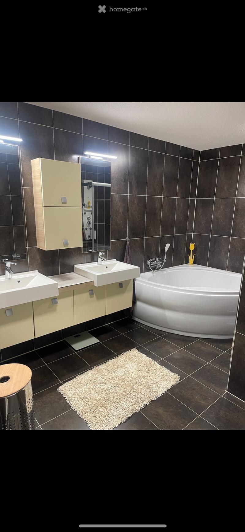 Magnifique Appartement 4,5 Pièces (5)