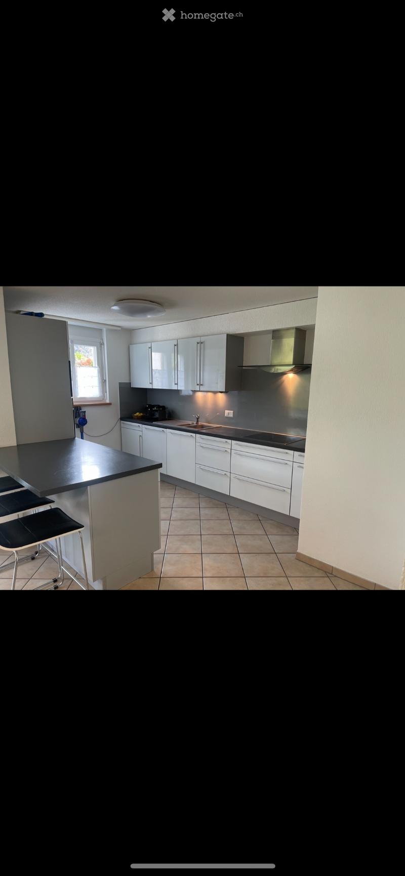Magnifique Appartement 4,5 Pièces (4)