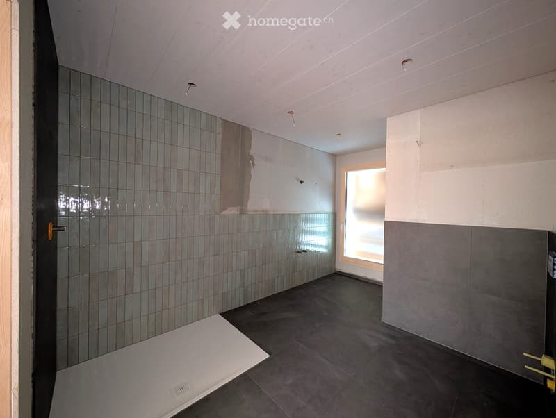 2.5 Zimmer-Wohnung/Büro- oder Praxisräume (3)