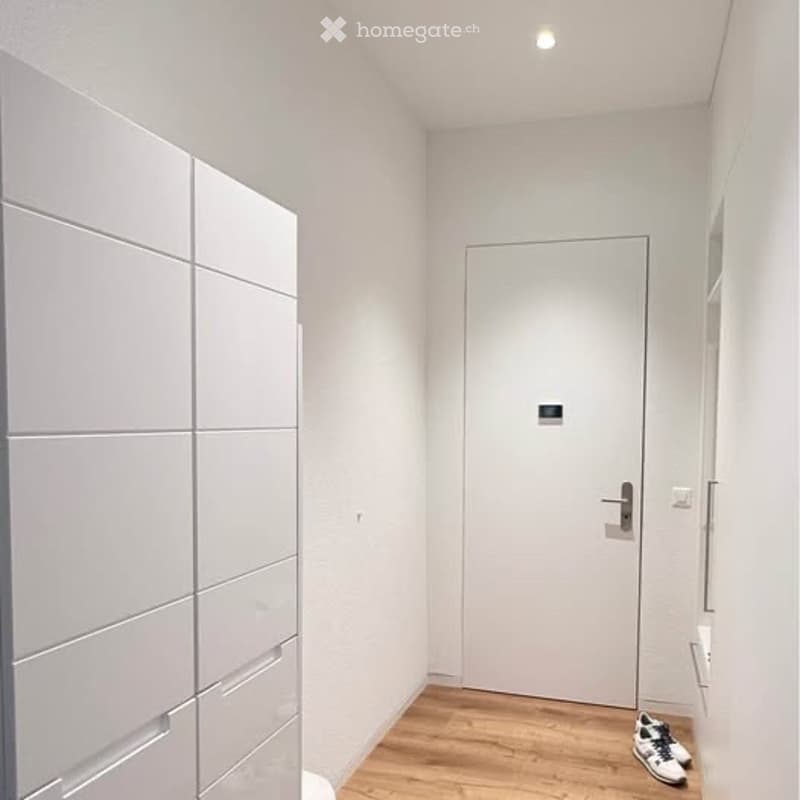 Möblierte 2.5-Zi-Wohnung, Neubau, Zentrum von Seengen AG (5)