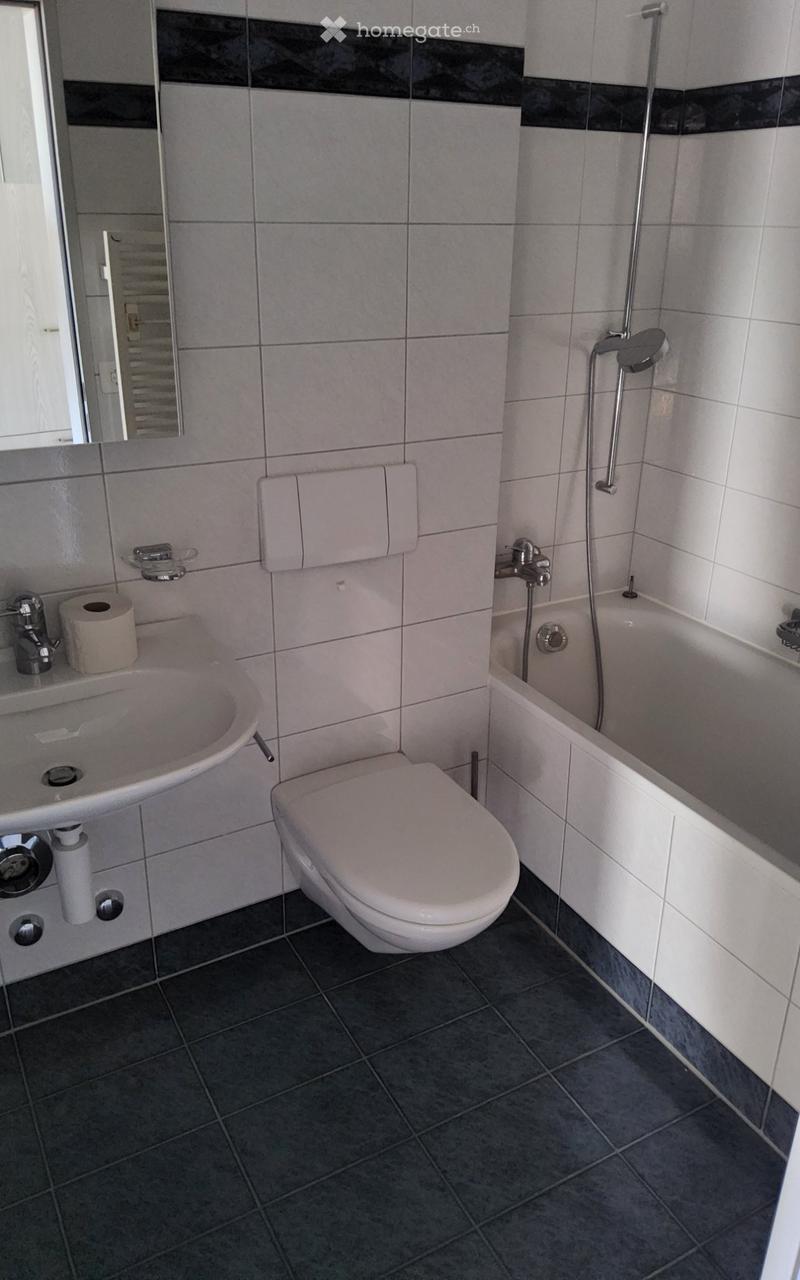 2 Zimmer Wohnung in Zürich Höngg (2)