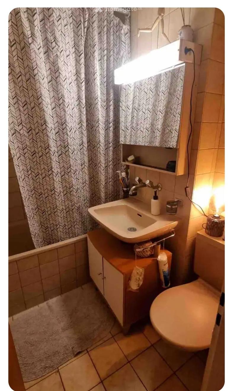 Spacious 3.5-Room Apartment in Zurich Long-Term Rental Only (3)