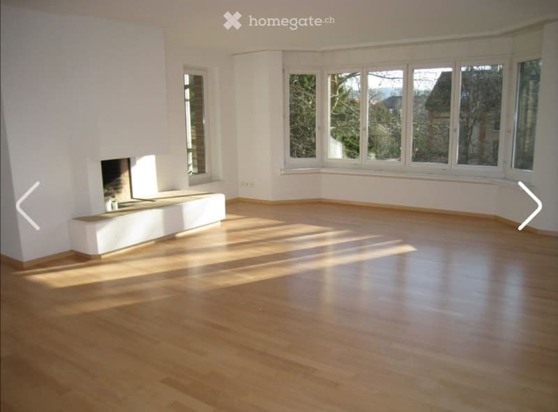 4-5er WG in Winterthur, zentral, grün, ruhig (4)