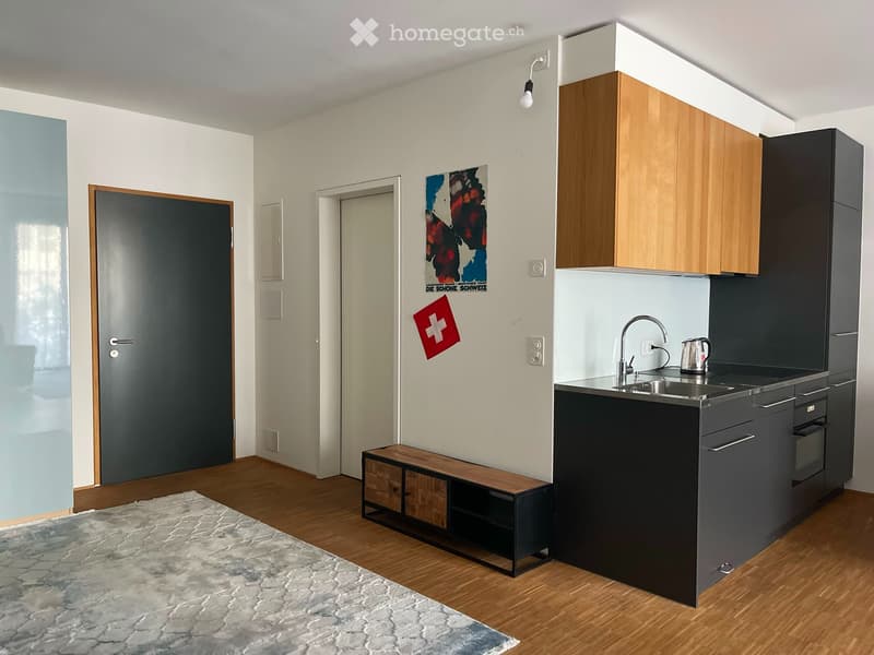 Rent a 1 ½ rooms apartment in Zurich, 8004 (Bezirksgebäude) (11)