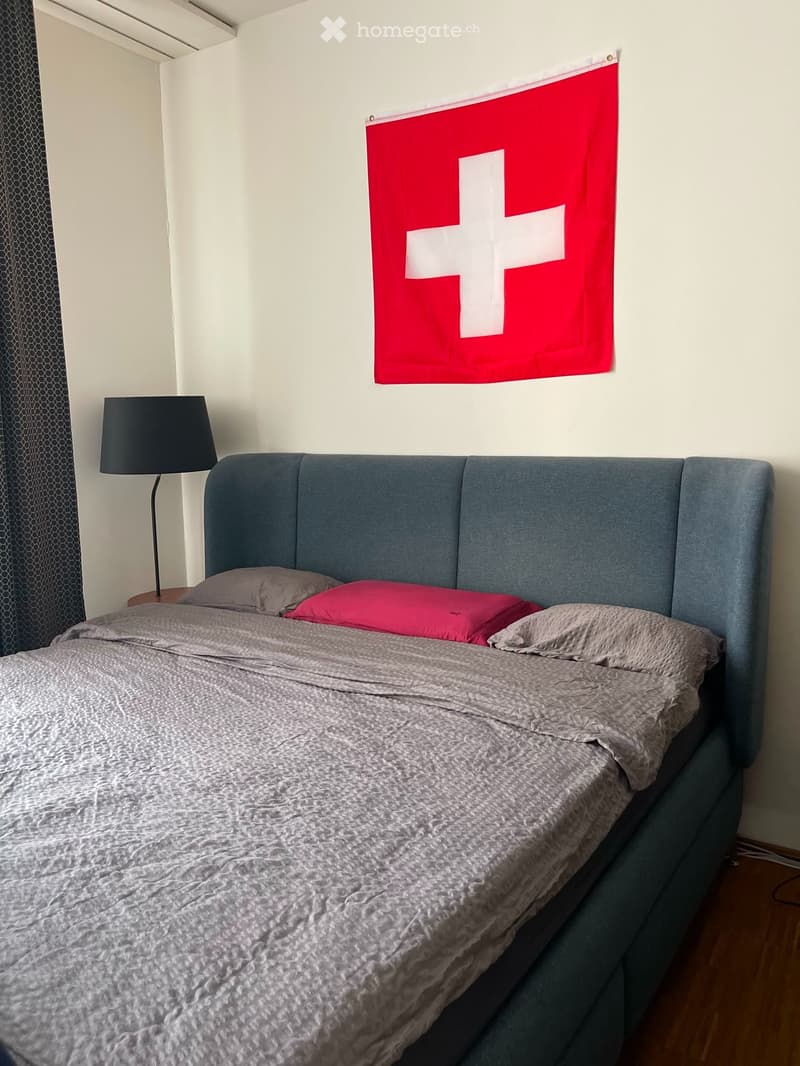 Rent a 1 ½ rooms apartment in Zurich, 8004 (Bezirksgebäude) (7)