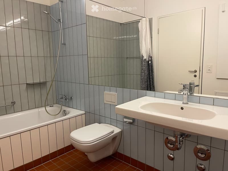 Rent a 1 ½ rooms apartment in Zurich, 8004 (Bezirksgebäude) (12)