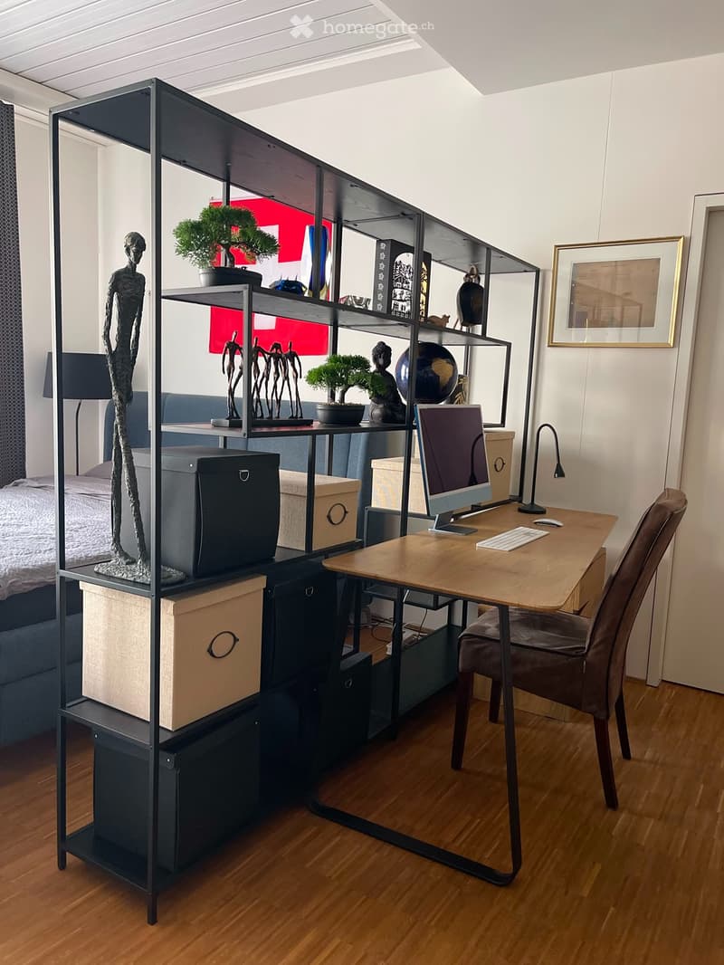 Rent a 1 ½ rooms apartment in Zurich, 8004 (Bezirksgebäude) (9)