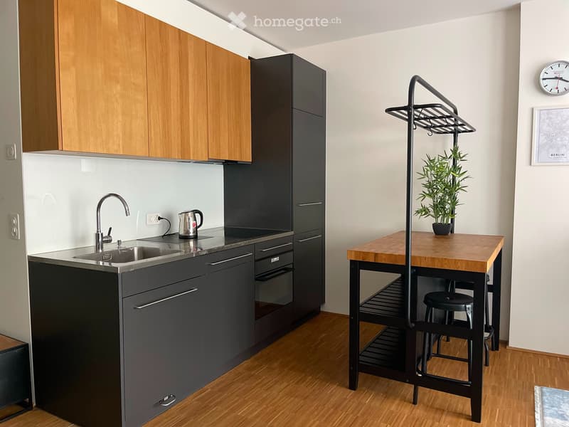 Rent a 1 ½ rooms apartment in Zurich, 8004 (Bezirksgebäude) (3)