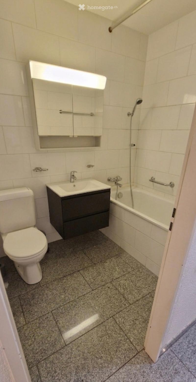 Ich suche einen Nachmieter für eine 3.5-Zimmer-Wohnung  . (2)