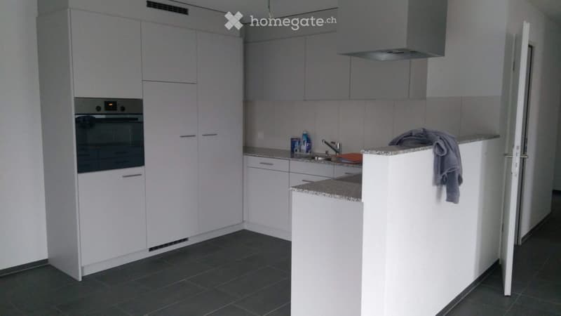 3.5 Zi - Wohnung , Nachmieter gesucht (1)
