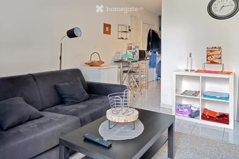 Magnifique studio à Genève (4)