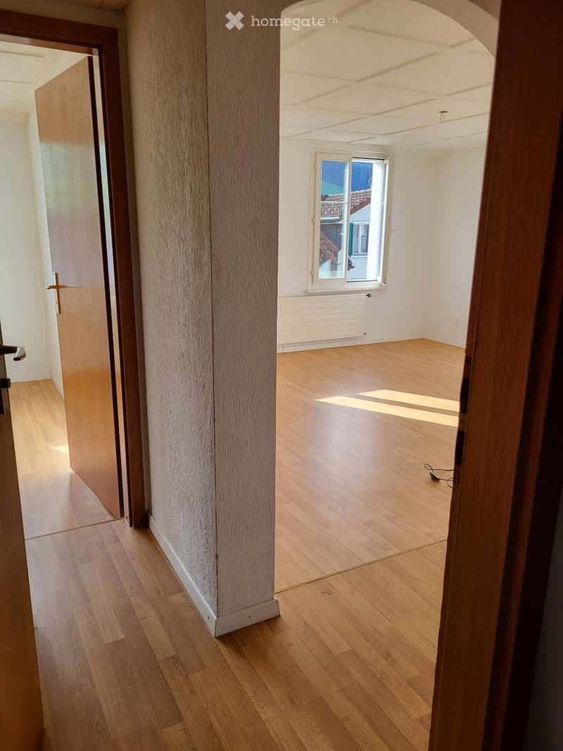 Zentral gelegene Wohnung (5)