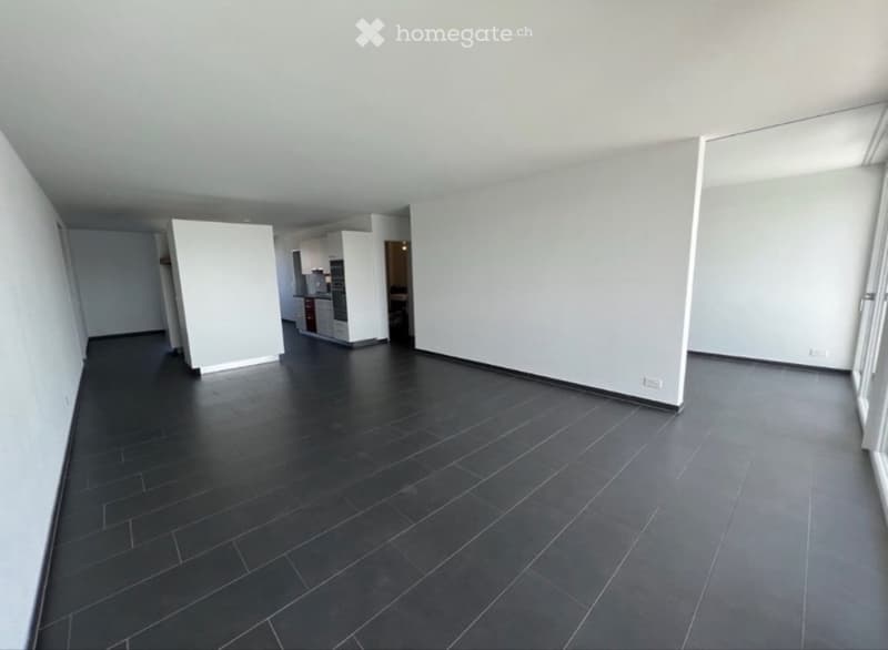 Helle 4.5-Zimmer-Wohnung mit Balkon und Aussicht in Buchs AG (3)
