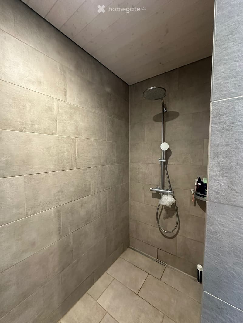 Wohnungsnachmieter gesucht (5)