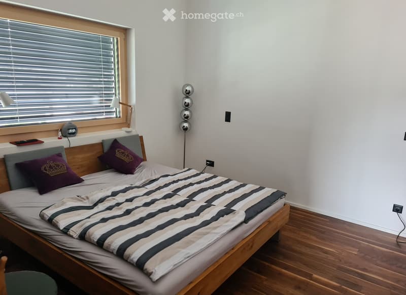 Moderne 2.5 Zimmer Attikawohnung (4)